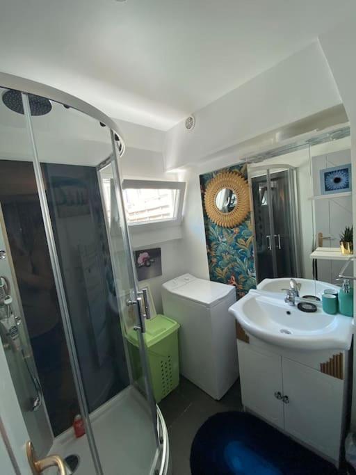 Appartement Jardin Du Palais- Relaxation Centrale מראה חיצוני תמונה